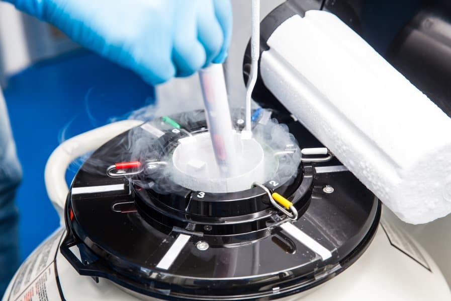 Embryo Freezing
