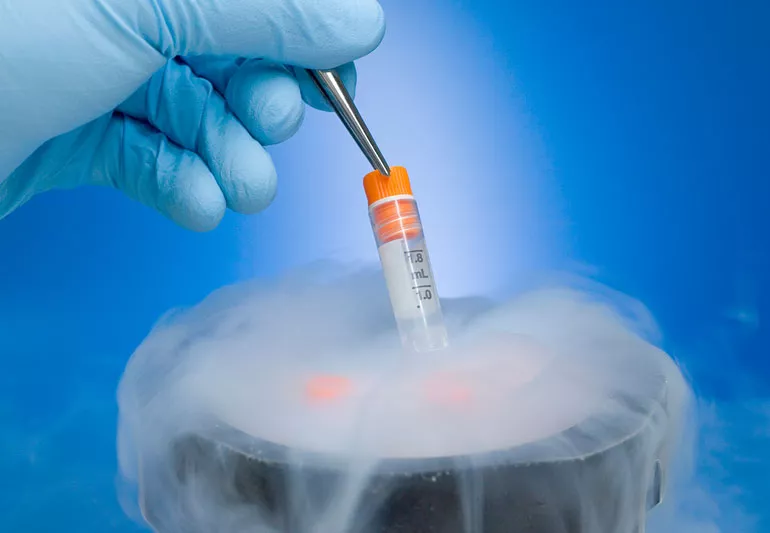 Fertility Preservation